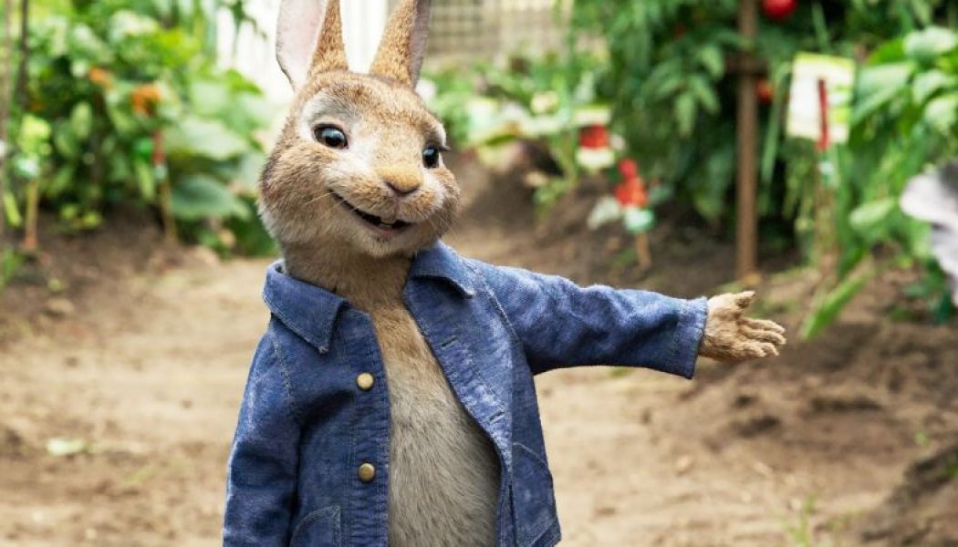 PETER RABBIT