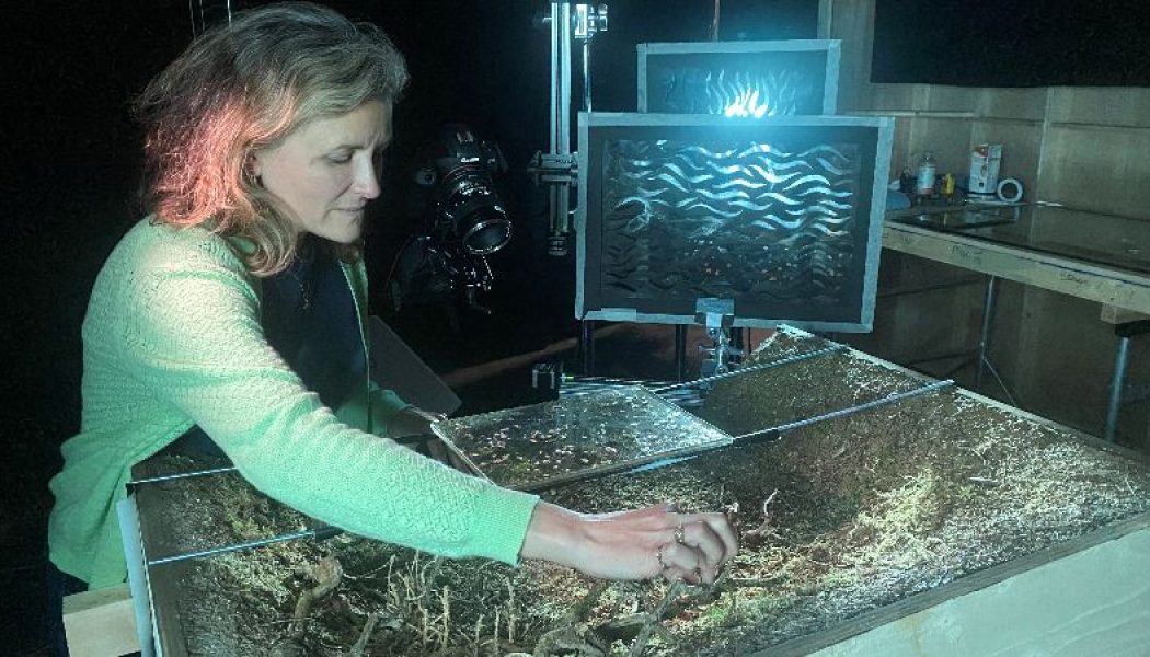 PRODUCTION DESIGN & ART DIRECTION IN FILM TALENT LAB WITH ALEXANDRA WALKER