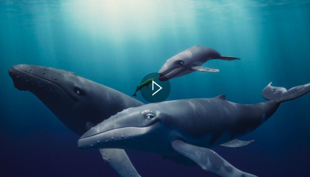 THE LAST WHALE SINGER